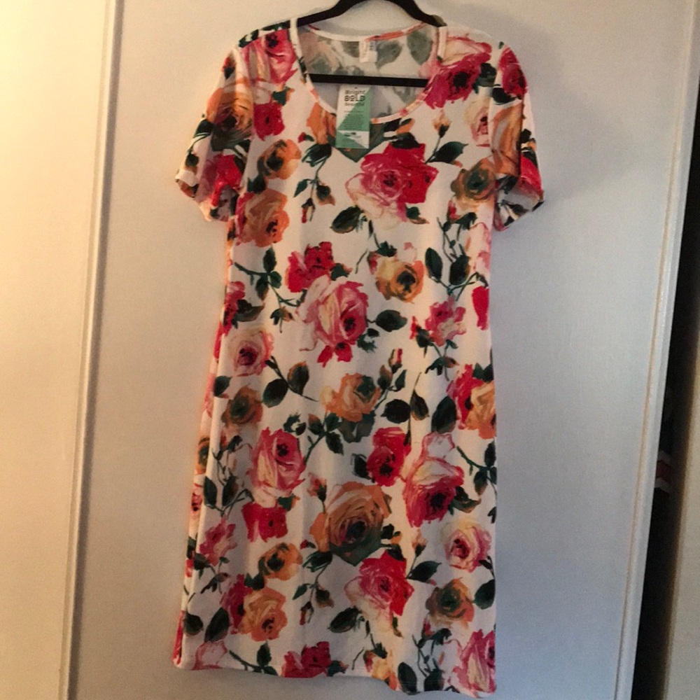 Piphany XL Auburn Dress NWT - Picture 2 of 3